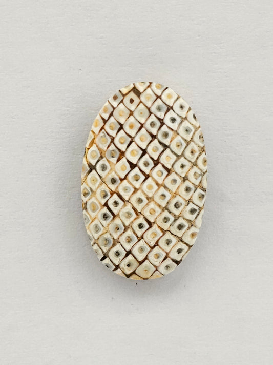 Snake agate cabochon large