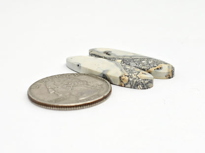 Maligano Jasper Cabochon Pair