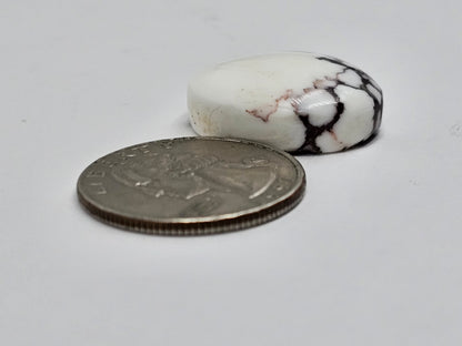 Magnesite Cabochon