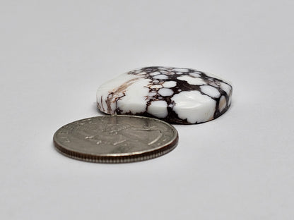Magnesite Cabochon