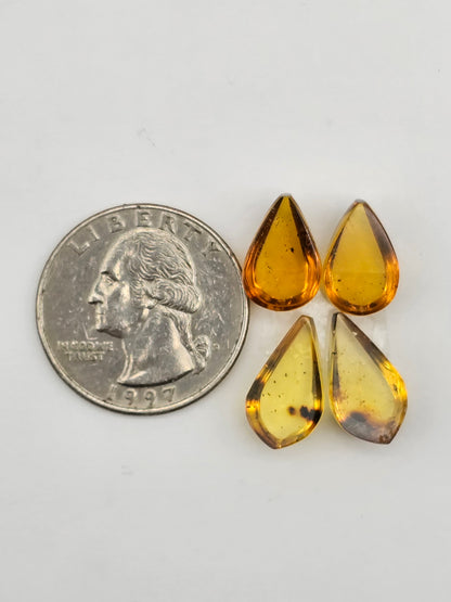 Amber authentic cabochon pair lot