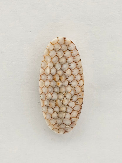 Snake agate cabochon large