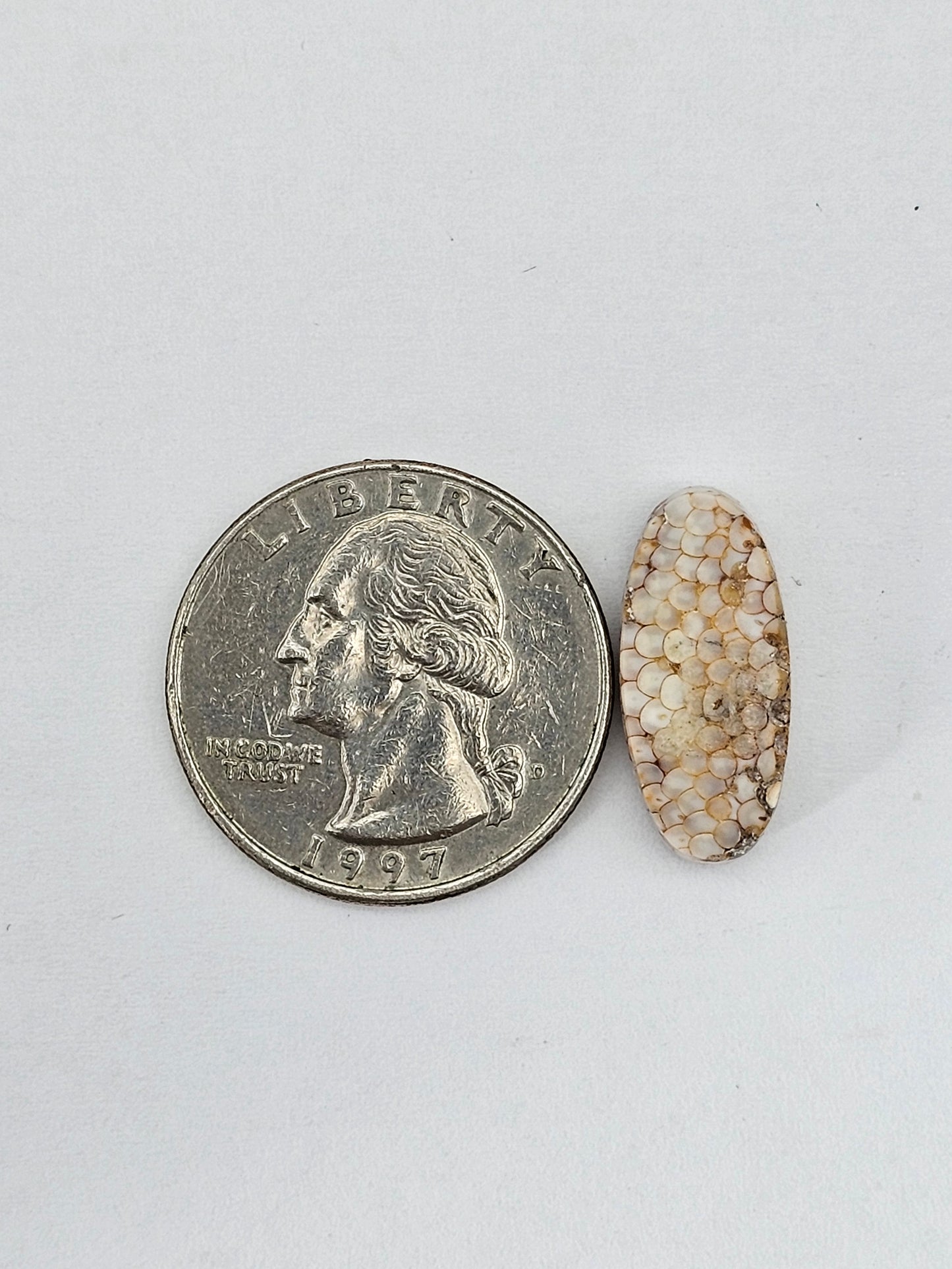 Snake agate cabochon large