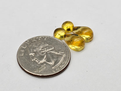 Amber authentic cabochon pair lot