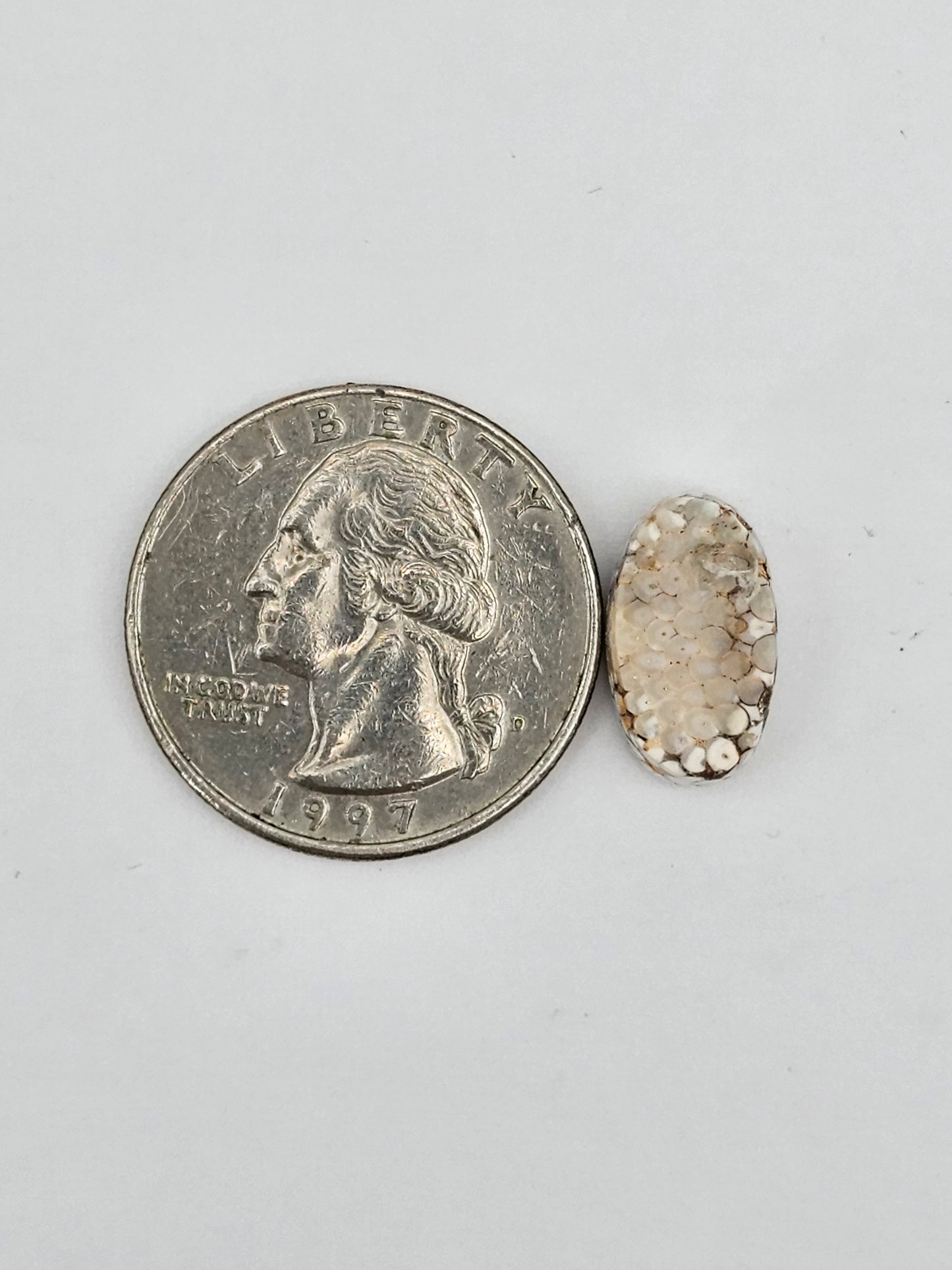 Snake agate cabochon large