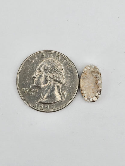 Snake agate cabochon large