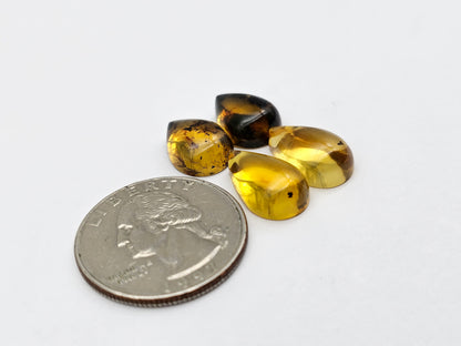 Amber authentic cabochon pair lot