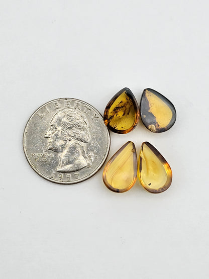 Amber authentic cabochon pair lot