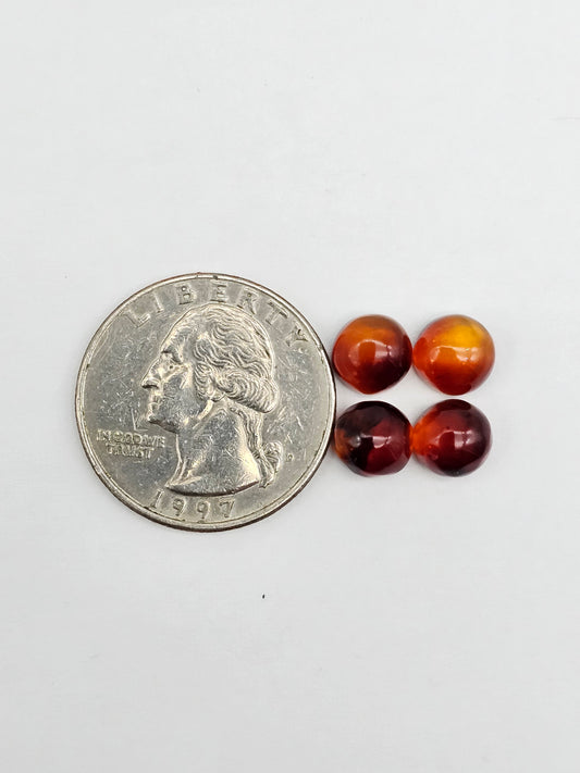 Amber authentic cabochon pair lot