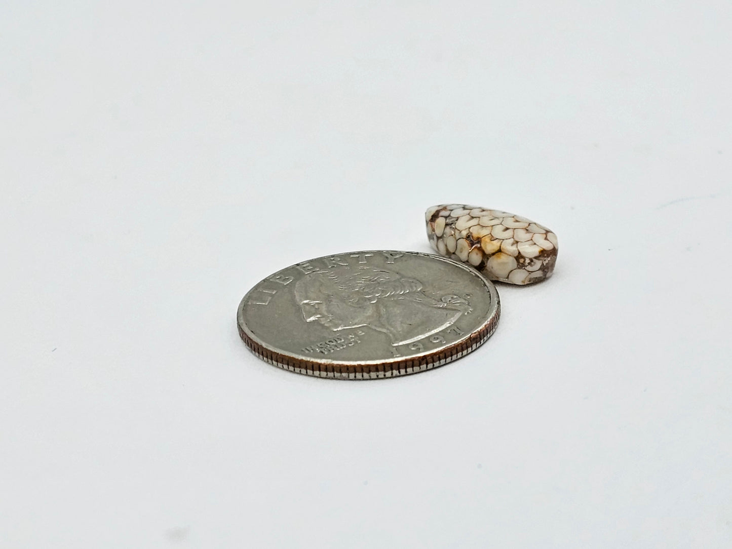 Snake agate cabochon large