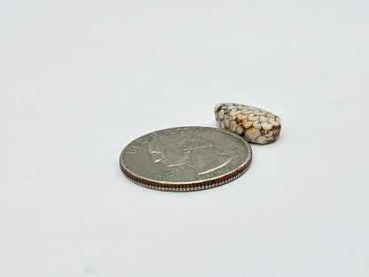 Snake agate cabochon large