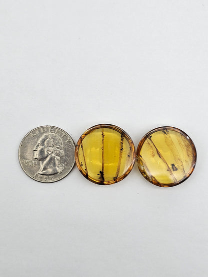 Amber authentic cabochon pair large