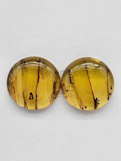 Amber authentic cabochon pair large