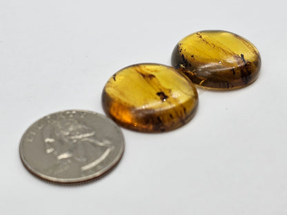 Amber authentic cabochon pair large