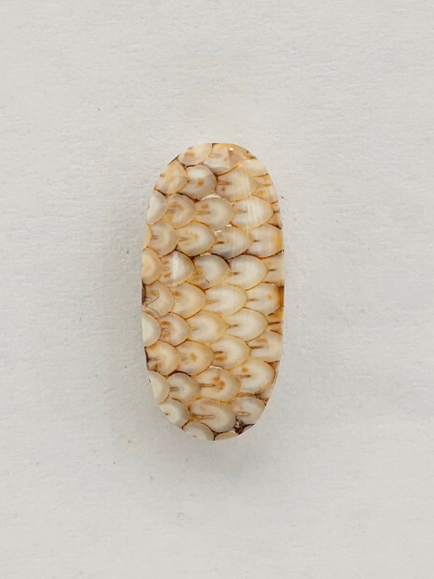 Snake agate cabochon large