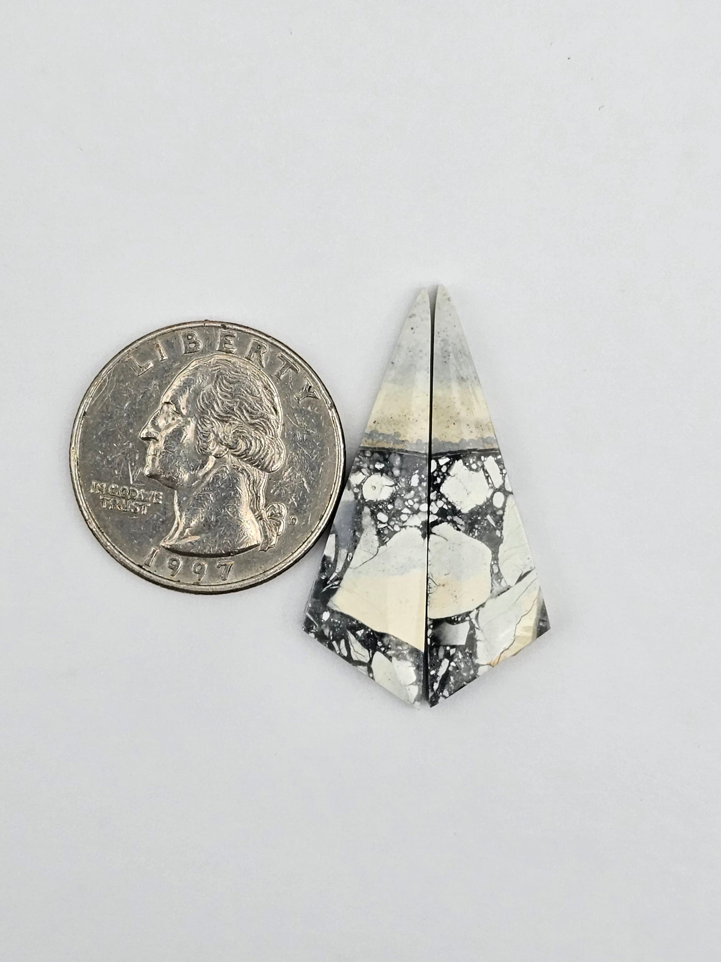 Maligano Jasper cabochon pair