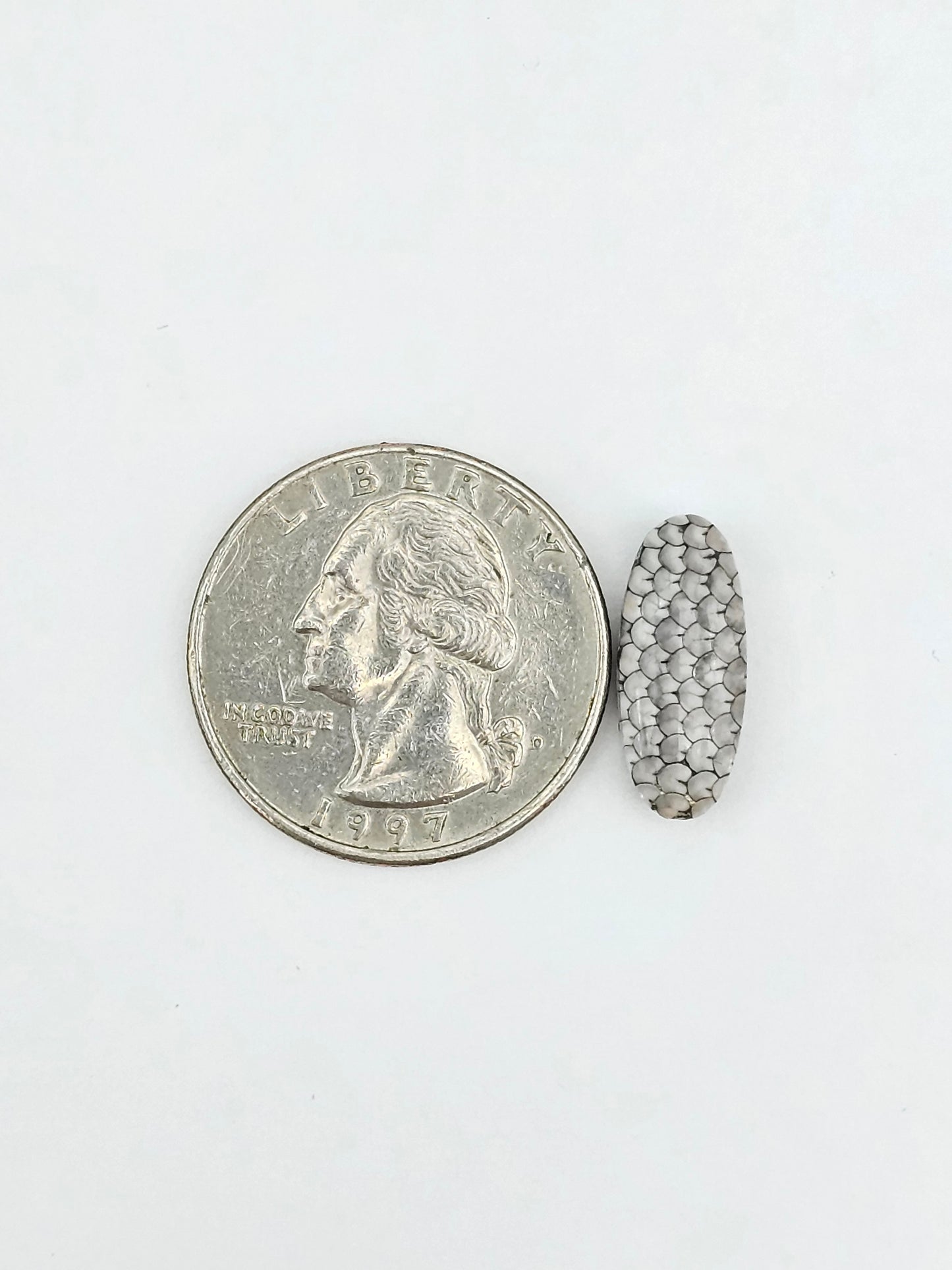 Snake agate cabochon large