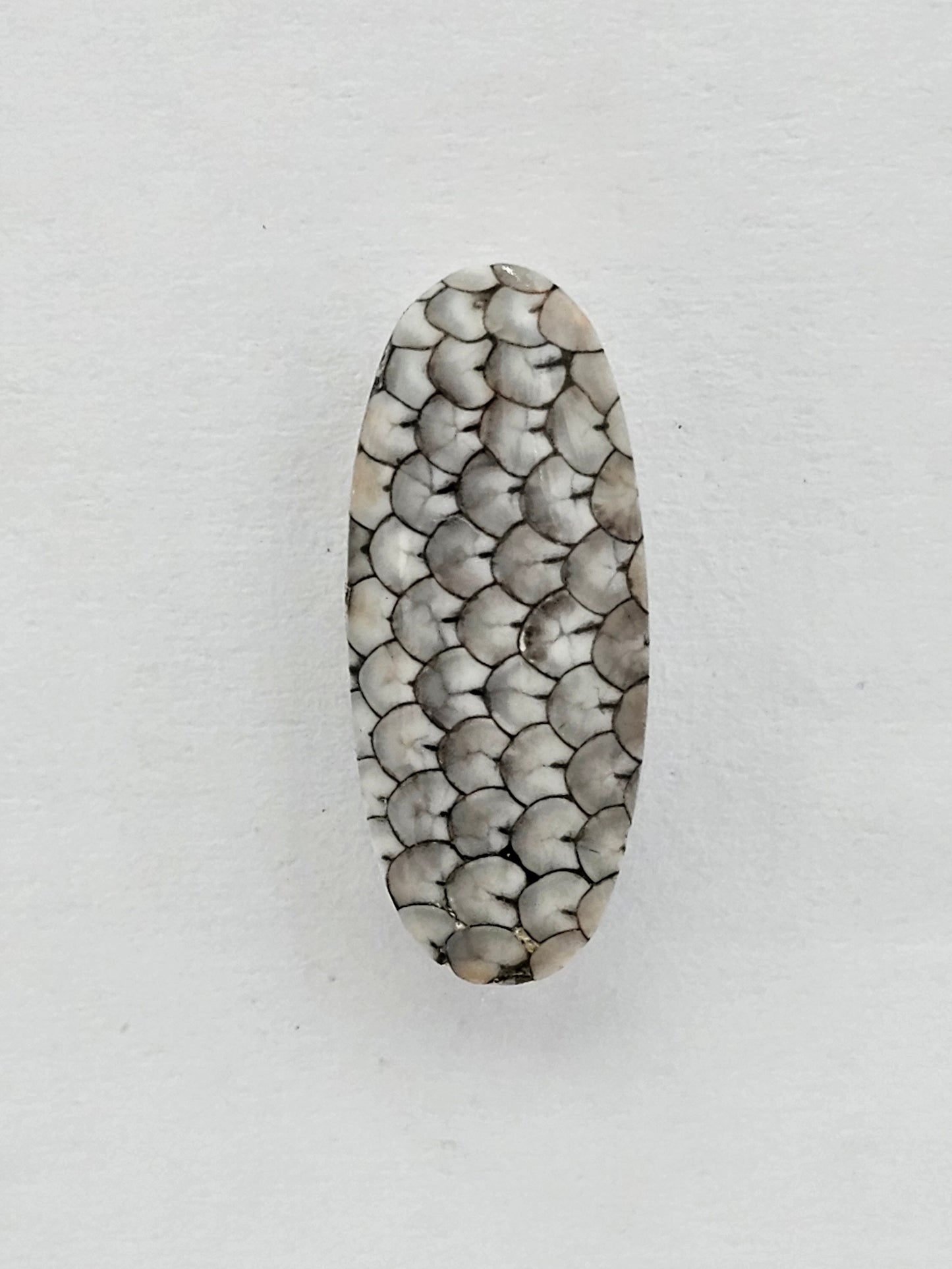 Snake agate cabochon large