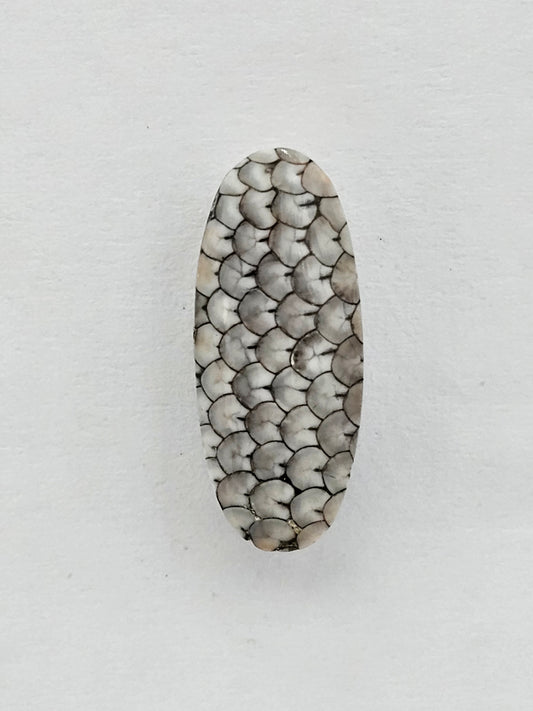 Snake agate cabochon large