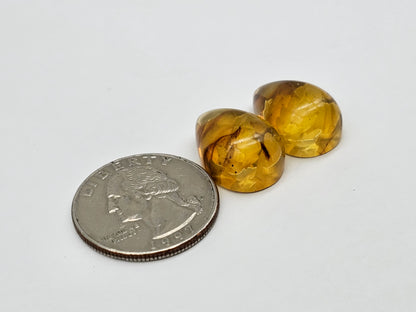 Amber authentic intaglio cabochon pair large