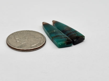 Blue opalized wood Cabochon Pair