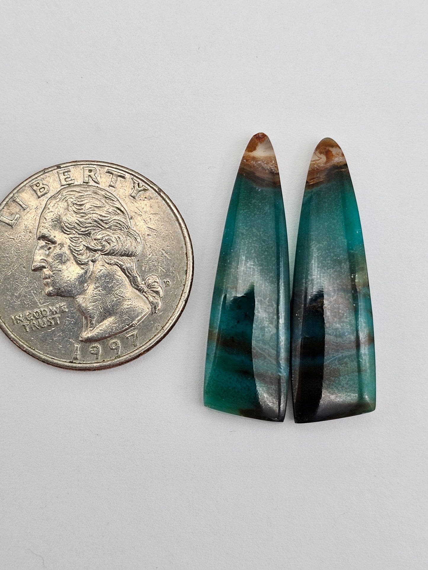Blue opalized wood Cabochon Pair