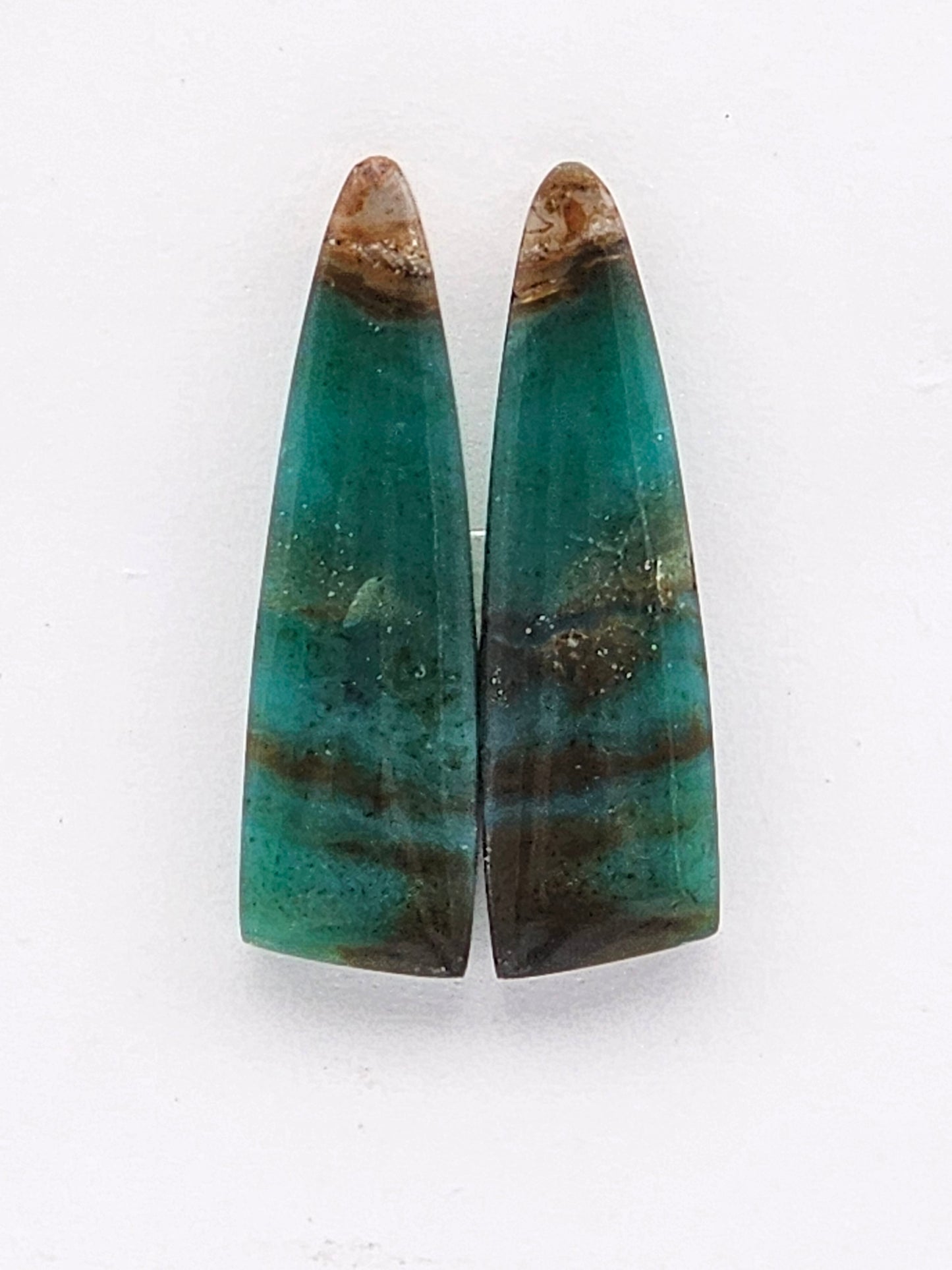 Blue opalized wood Cabochon Pair