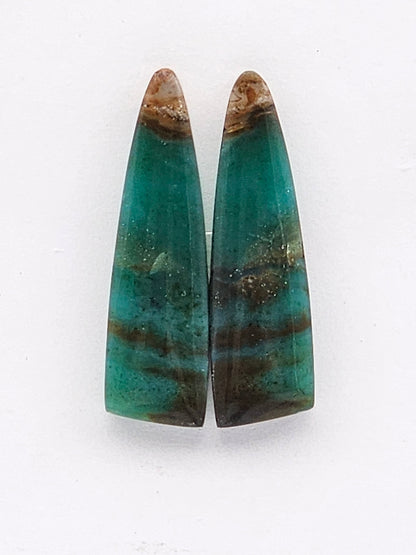 Blue opalized wood Cabochon Pair