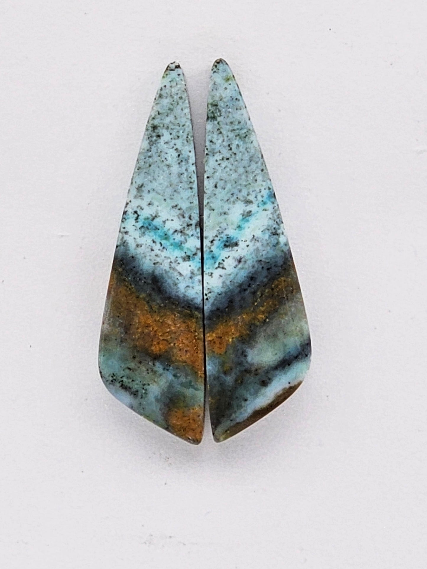 Blue opalized wood Cabochon Pair