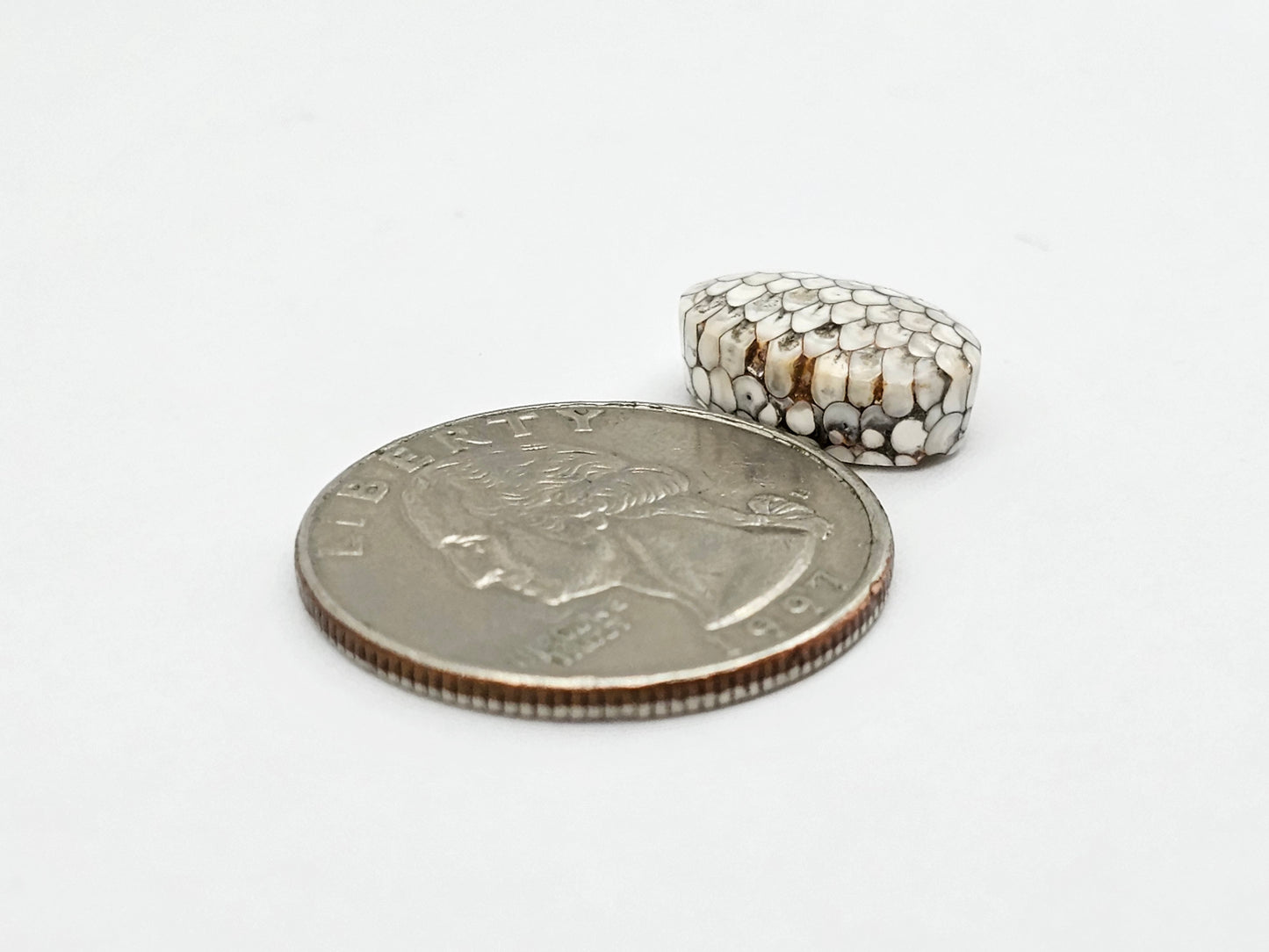 Snake agate cabochon large