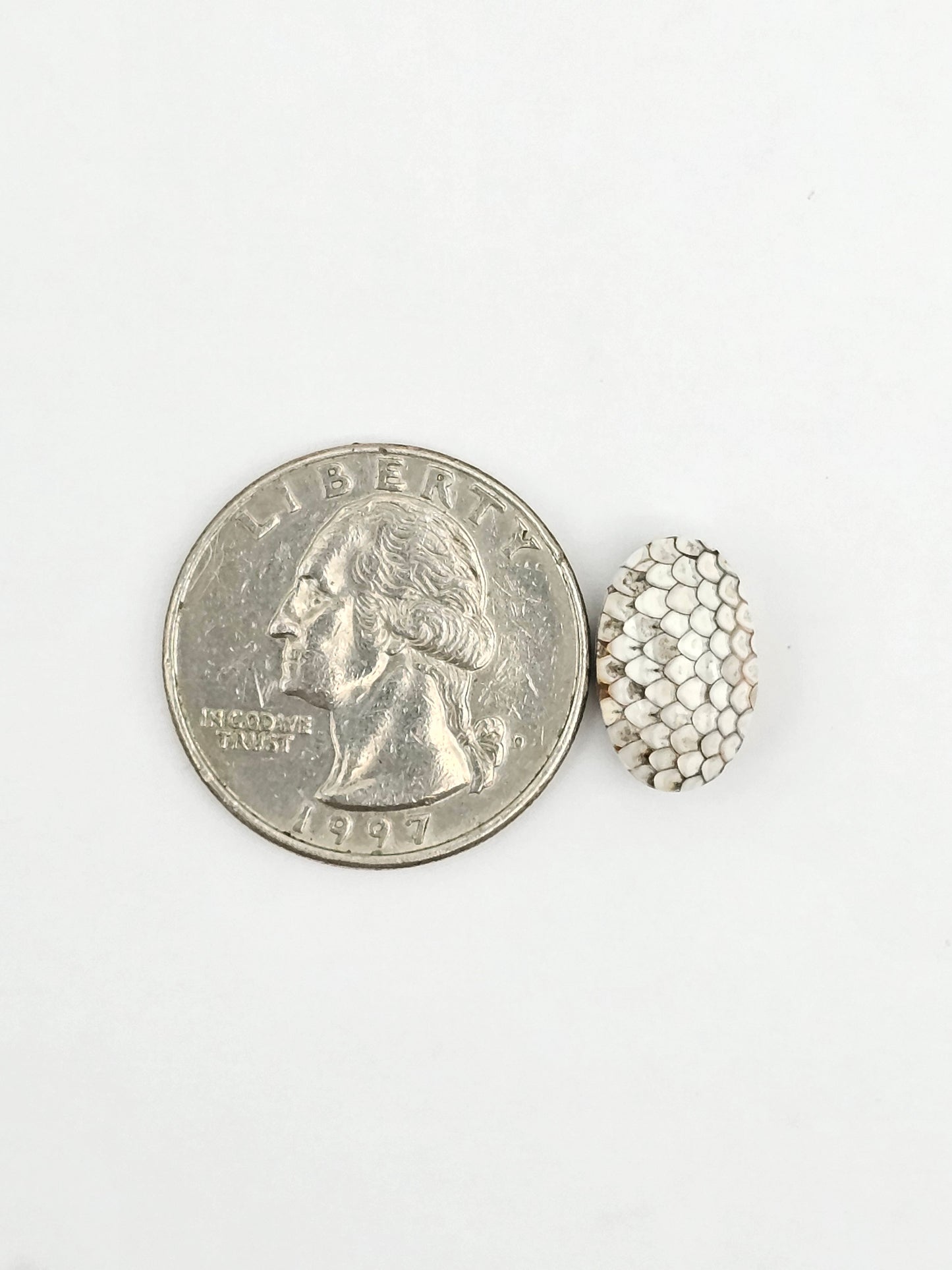 Snake agate cabochon large