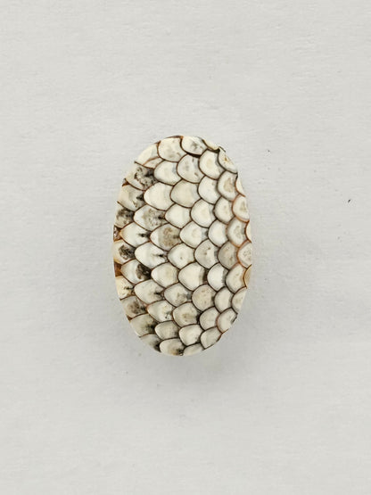 Snake agate cabochon large