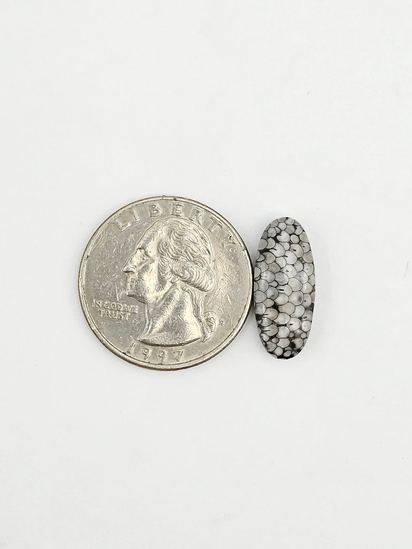 Snake agate cabochon large