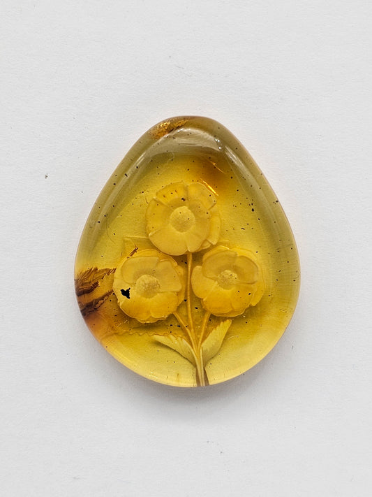 Amber authentic intaglio cabochon large