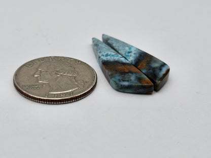 Blue opalized wood Cabochon Pair
