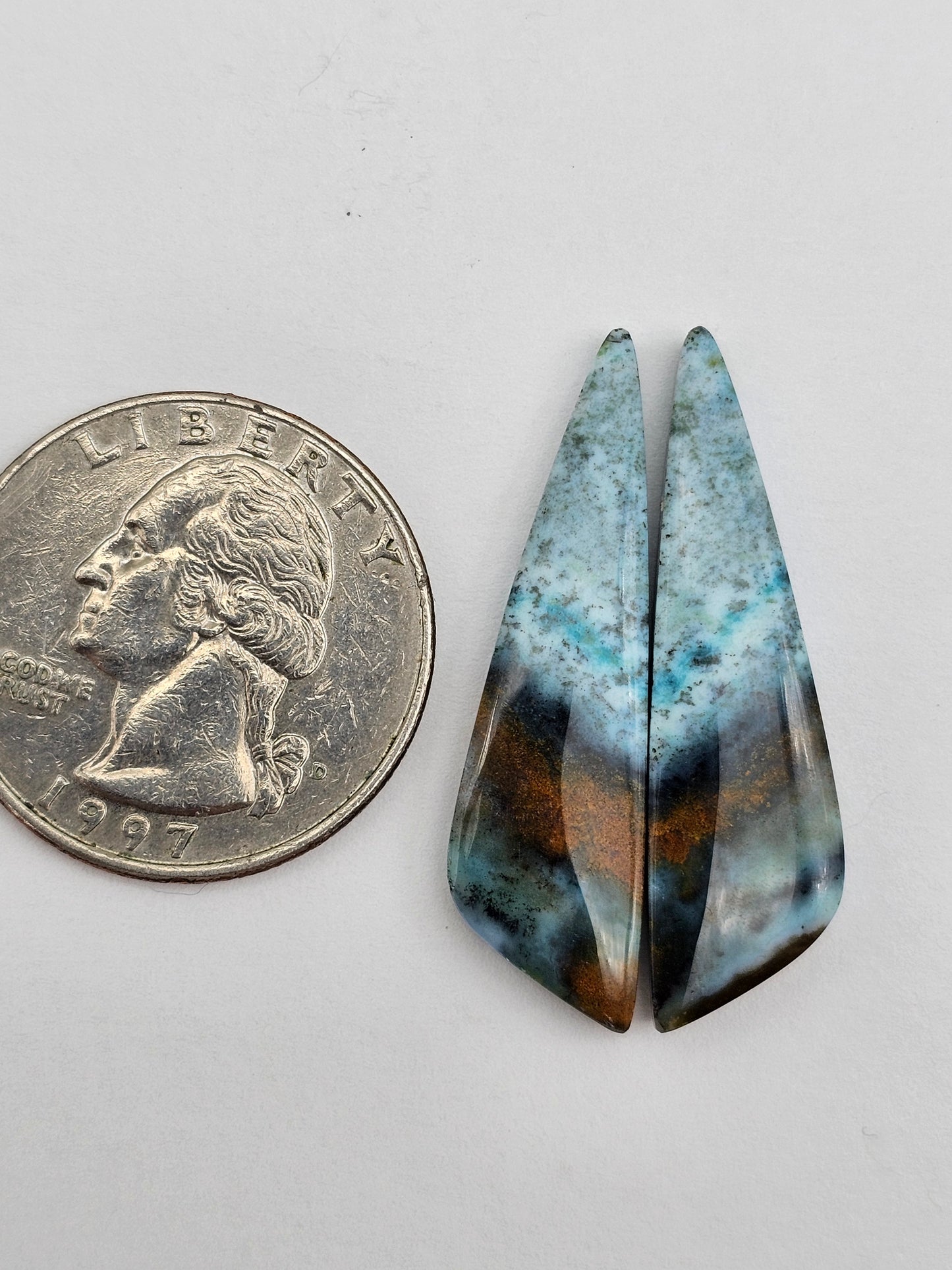 Blue opalized wood Cabochon Pair
