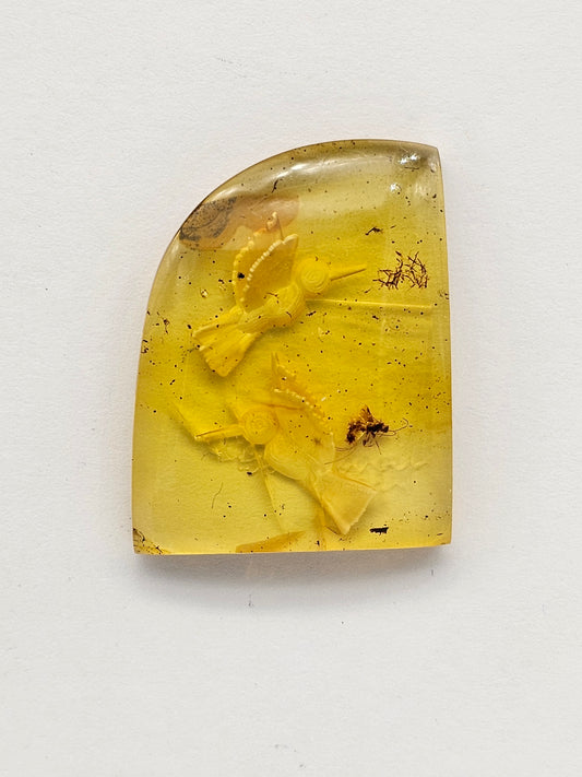 Amber authentic intaglio cabochon large