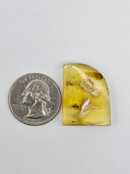 Amber authentic intaglio cabochon large