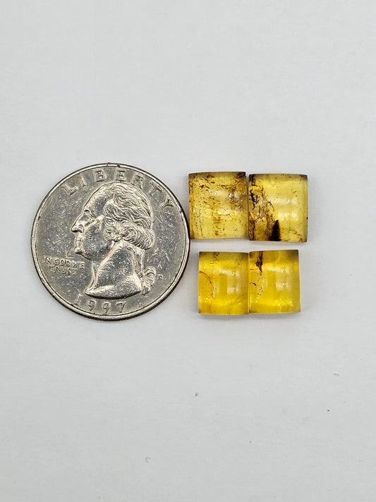 Amber authentic cabochon pair lot