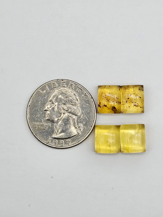 Amber authentic cabochon pair lot