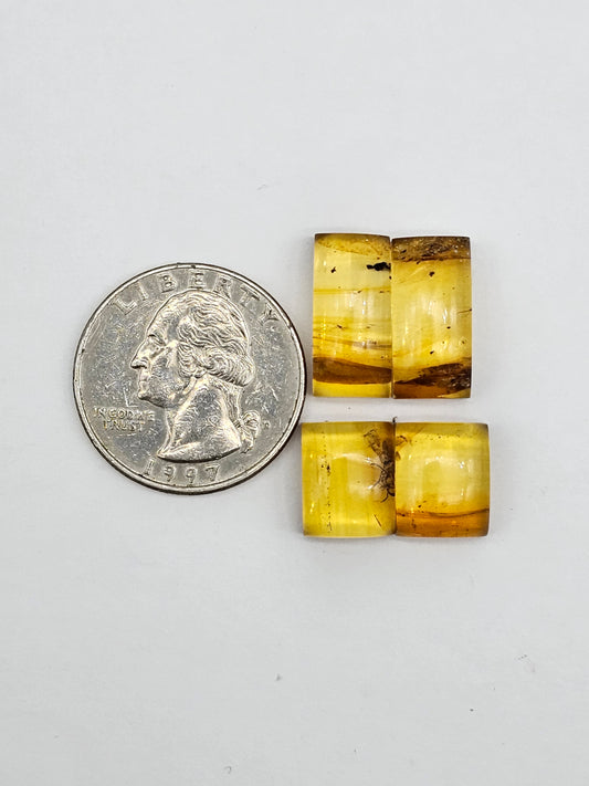 Amber authentic cabochon pair lot