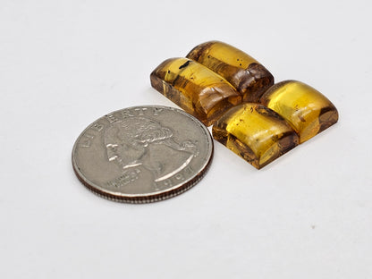 Amber authentic cabochon pair lot