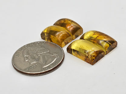 Amber authentic cabochon pair lot
