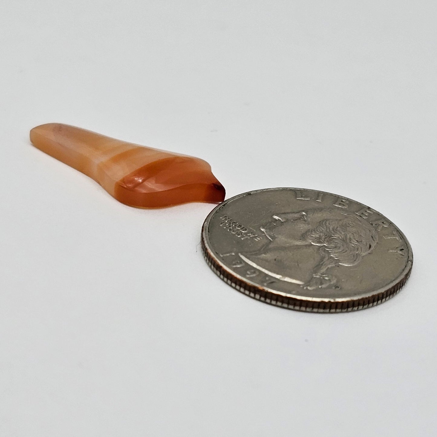 Carnelian Agate Bird Cabochon