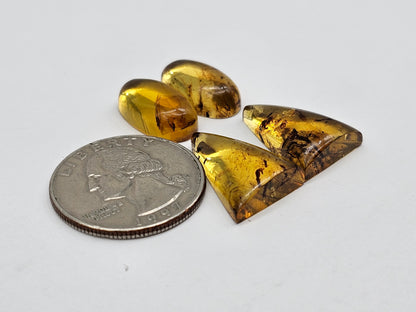 Amber authentic cabochon pair lot