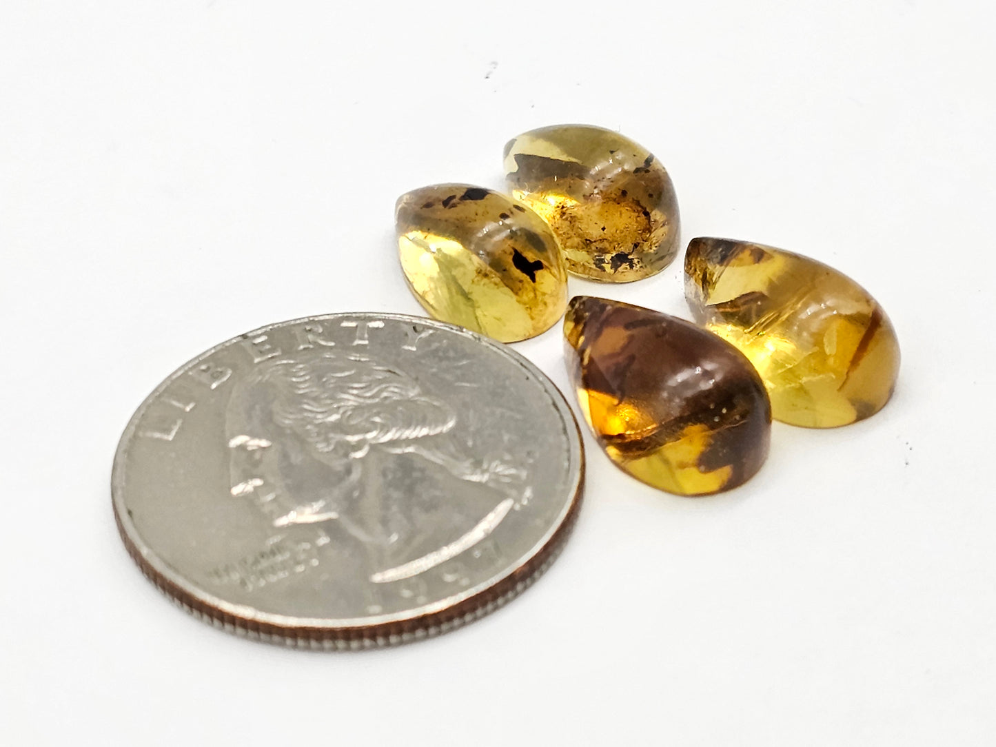 Amber authentic cabochon pair lot
