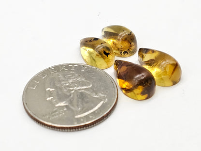 Amber authentic cabochon pair lot