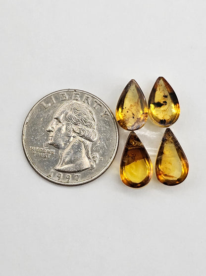 Amber authentic cabochon pair lot