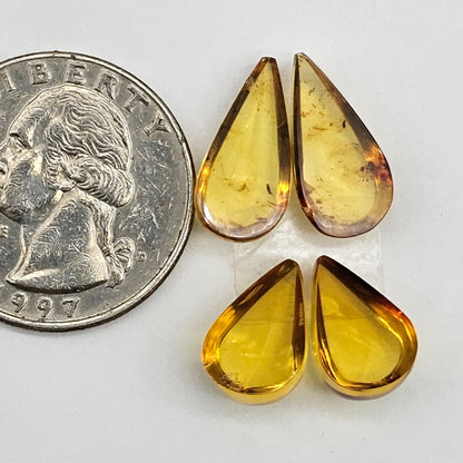 Amber authentic cabochon pair lot