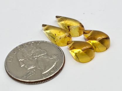 Amber authentic cabochon pair lot